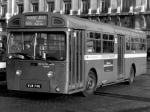 AEC Merlin 4P2R 1964 года